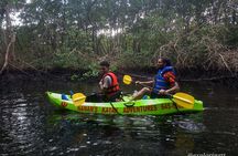 Kayak Adventure in the Second Largest Swamp of Trinidad and Tobago