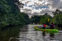 Kayak Adventure in the Second Largest Swamp of Trinidad and Tobago