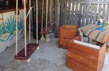 Beach Day, food + drinks + the chilangaloense beach club