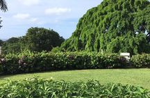 Explore Montego Bay Jamaica Rose Hall Great House Day/Night Tour 