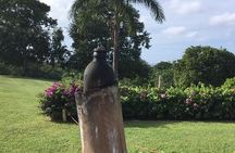 Explore Montego Bay Jamaica Rose Hall Great House Day/Night Tour 