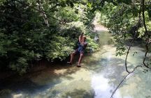 Jungle Zip-line Adventure from Belize City