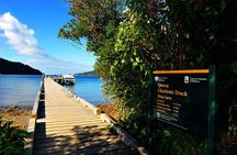 Half-Day Cruise in Marlborough Sounds from Picton
