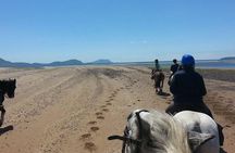 Killarney National Park Horseback Ride. Co Kerry. Guided. 2 hours.