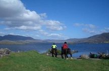 Killarney National Park Horseback Ride. Co Kerry. Guided. 2 hours.