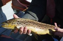 Wild Brown Trout fishing. Lough Corrib. French speaking Ghillie/Guide. Full day.