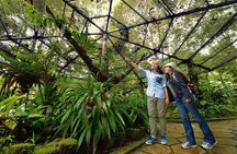 Full-Day Kinabalu Park and Poring Hot Spring Day Trip