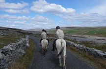 Horse riding - Mountain Trail. Lisdoonvarna, Co Clare. Guided. 2 hours.