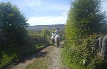 Horse riding - Burren Trail. Lisdoonvarna, Co Clare. Guided. 3 hours.