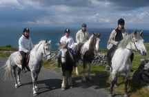 Horse riding - Burren Trail. Lisdoonvarna, Co Clare. Guided. 3 hours.