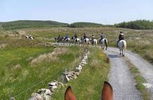 Horse riding - Burren Trail. Lisdoonvarna, Co Clare. Guided. 3 hours.