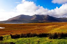 Wild Red Deer Viewing Safari, Connemara. Guided 3hrs
