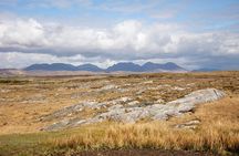 Wild Red Deer Viewing Safari, Connemara. Guided 3hrs