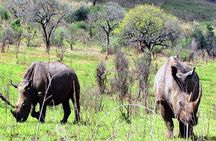 2 Days Safari Tour
