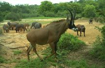 2 Days Safari Tour