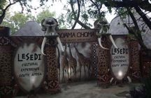 Soweto & Apartheid Museum, Cultural Village, Wildlife and Safari 