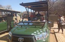 Soweto & Apartheid Museum, Cultural Village, Wildlife and Safari 