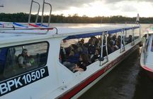 Twinkling Kuala Selangor Firefly Boat Tour from Kuala Lumpur