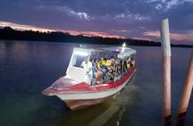 Twinkling Kuala Selangor Firefly Boat Tour from Kuala Lumpur