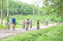 Countryside Cycling in Bentota
