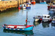 Connemara & Inishturk Island wildlife watching cruise. Private guided Full-day 