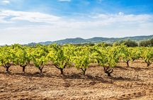 eBike Small Group Tour & Wine Tasting to Alella D.O. winery 