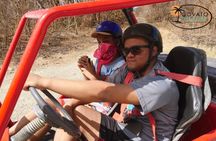 Amber Cove Super Buggys 