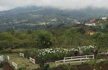 Private Silleteros (Flowers) Tour
