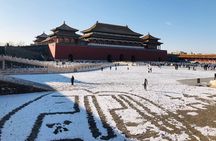 Half Day Private Highlights Tour of Forbidden City and Hutong 