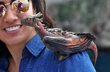 Game of Thrones Lokrum Special in Dubrovnik