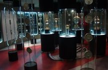 River Plate Monumental Stadium and Museum Guided Tour