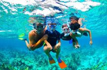 West Bay Aquarium Snorkeling, Chocolate & Rum Factory, City Tour plus Transfer