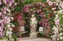 Germany Day Trip with Baden-Baden & Black Forest from Strasbourg