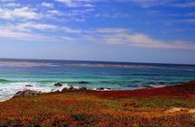 Carmel / Monterey Hwy 1 tour 