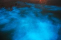Blue Hole/ Dunn's River Falls & Luminous Lagoon (Glistening water) 3 in 1 combo 