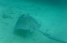 Private Day Sail & Snorkel with Virgin Islands Day Sailing, 6 guest max