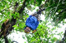 Tarzan Swing Adventure