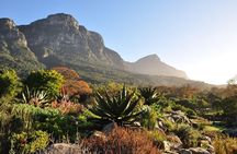 Cape Point & Peninsula Day Tour from Cape Town
