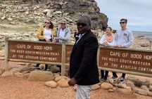 Private Tour Cape Point, Cape Of Good Hope & Penguins