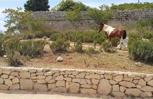 Konavle Countryside Private Tour