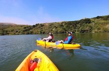 Guided Kayak Tour on Jenner Coast