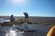 Guided Kayak Tour on Jenner Coast