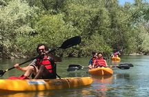 Guided Kayak Tour on Russian River