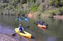 Guided Kayak Tour on Russian River