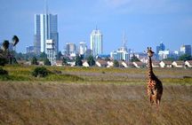 Nairobi National Park,Elephant Orphanage, Giraffe Center and Karen Blixen Museum
