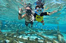 Private Tour in luxury BOAT over the sea of ​​7 colors