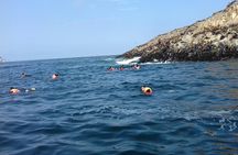  Ballestas Islands + Huacachina Tour From Lima (Private Group)