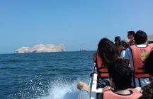  Ballestas Islands + Huacachina Tour From Lima (Private Group)