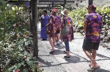 Nadi Sightseeing & Mud Pool Tour