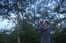 Forest waterfall Wellness Zone & Yoga Meditation,waterfall Bath.